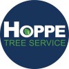 Gluck Tree Care