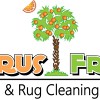 Citrus Fresh Carpet Cleaning