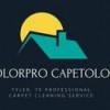 Colorpro Carpetology