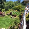 Godoy Landscaping Maintenance