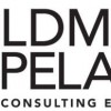 Goldman Copeland Assoc