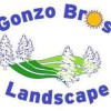 Gonzo Brothers Landscape