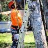 Good Guys Tree Service