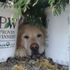 Gooding's Nursery & Landscaping