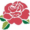Gordon Boswell Flowers