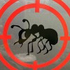 Safeway Pest Control