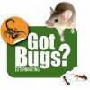Bee Extermination