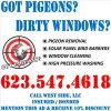 Got Pigeons