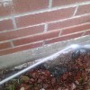 Grantham Pest Control