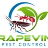 Grapevine Pest Control