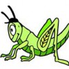 Grasshopper Landscaping & Maintenance
