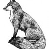 Gray Fox Design Works