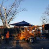 Greater Pittsburgh Tree Service