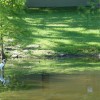 Green Bandit Lawn Care