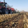 Green Field Ag