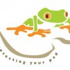 Green Frog Waterproofing