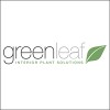 Greenleaf Interior Plants Solutions
