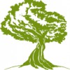 Green Olive Tree