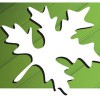 Green Span Profiles