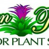 Green Thumb Interior Plant Service