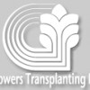 Growers Transplanting