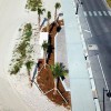 Gulf Breeze Landscaping