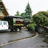 Halstead's Arboriculture