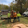 Hamby Tree Experts Tree Service/Logging 443-962-4731