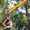 Hancock Tree Service