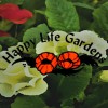 Happy Life Gardens