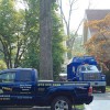 Happy Trees By Mgm Tree Service