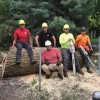 Hardwood Tree Service