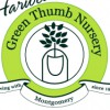 Green Thumb Nursery