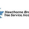 Hawthorne Brothers Tree Service