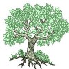 Heartwood Landscaping & Tree