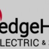 Hedgehog Electric
