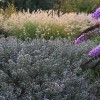 Heritage Flower Farm
