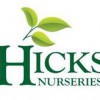 Hicks Nurseries