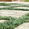 Hopping's Landscape