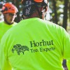 Horhut Tree Experts