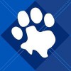 Houston Spca