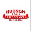 Hudson Tree Services
