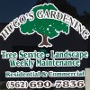 Hugos Gardening