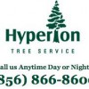 Hyperion Tree Service