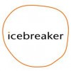 Ice Breaker Merino