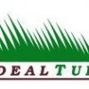 Ideal Turf