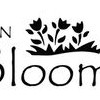 In Bloom Florist