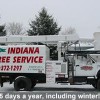 Indiana Tree Service