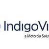 Indigo Vision