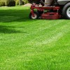 Indy Cuts Lawn & Landscape